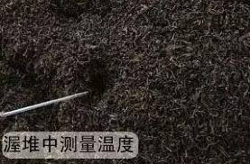 製茶專用午夜免费观看视频