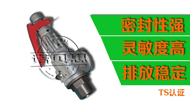 蒸汽發生器安全閥 蒸汽發生器安全閥