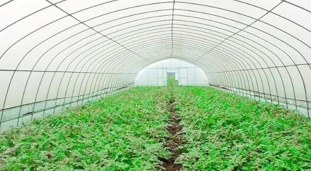 加溫加濕蒸汽發生器 加溫加濕蒸汽發生器