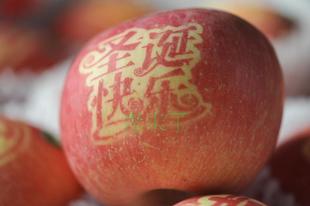 午夜一区二区三区元旦
