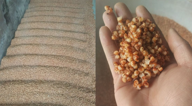 釀酒蒸汽發生器 釀酒蒸汽發生器