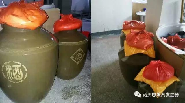 釀酒蒸汽發生器 釀酒蒸汽發生器