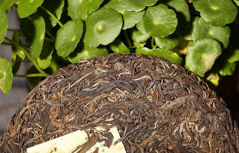 茶葉烘幹蒸汽發生器
