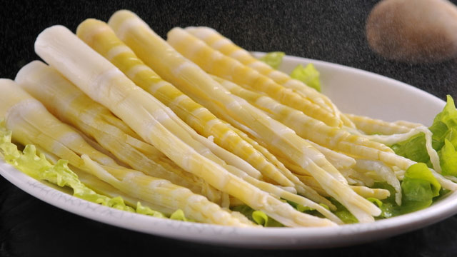 午夜最污视频APP