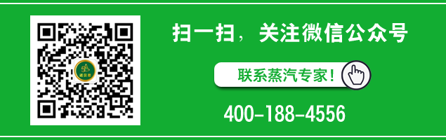 陝西混凝土養護蒸汽發生器