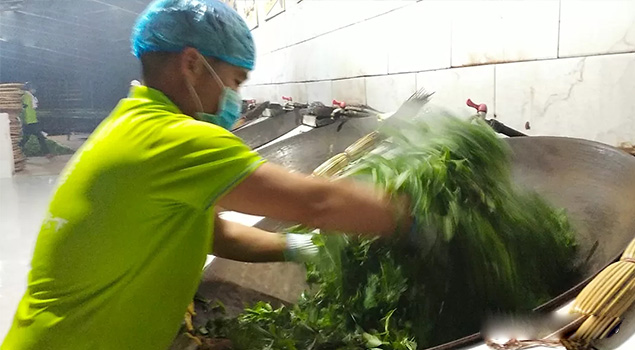 電氣化製茶成主流，蒸汽發生器讓製茶無煙化，實現零排放的環保目標