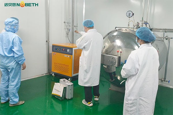 高溫高壓蒸汽機推薦，食品蒸汽滅菌用